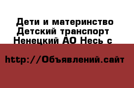 Дети и материнство Детский транспорт. Ненецкий АО,Несь с.